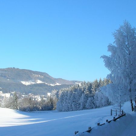 Ferienwohnungen Seifterhof Sankt Andrä im Lungau 外观 照片