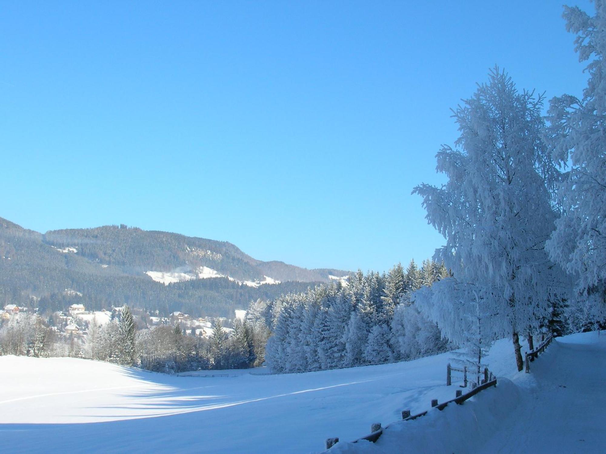 Ferienwohnungen Seifterhof Sankt Andrä im Lungau 外观 照片